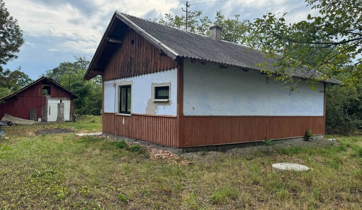 photo-2024-08-24-09-43-59