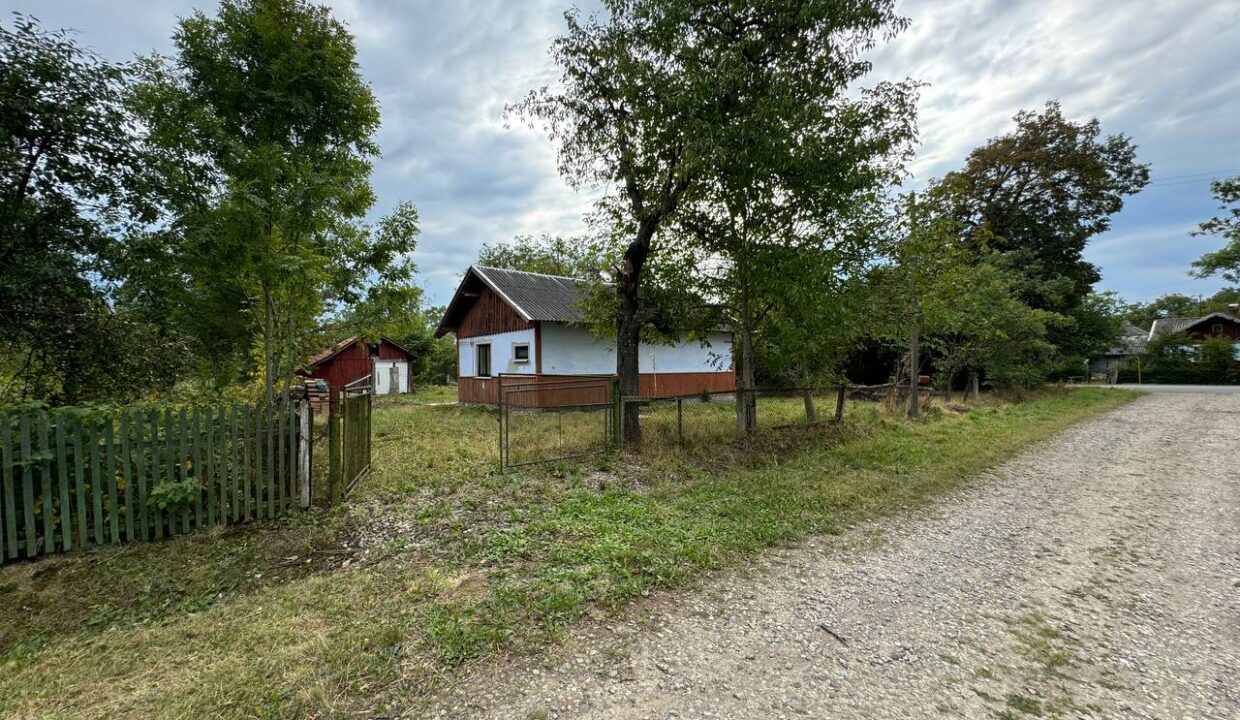 photo-2024-08-24-09-44-01