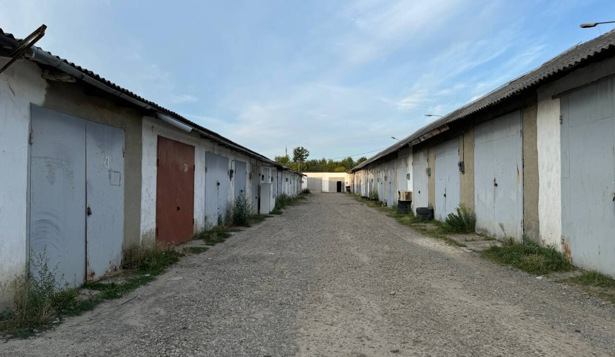 photo-2024-08-24-09-45-00