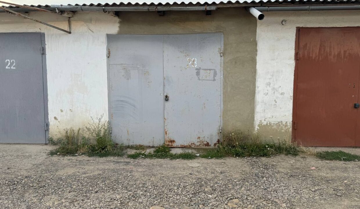 photo-2024-08-24-09-45-00-(2)